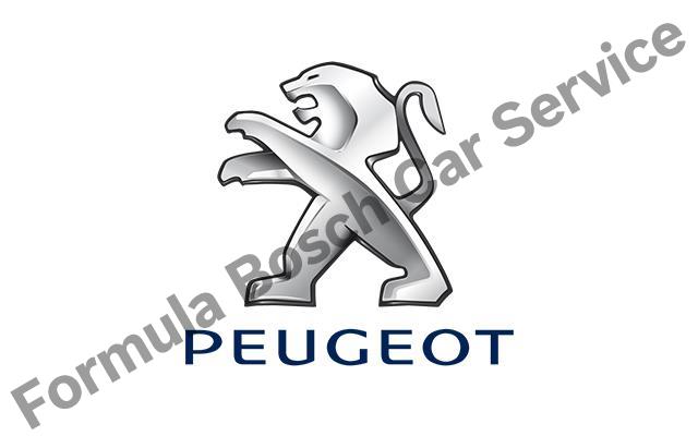 Maslak Peugeot Servisi