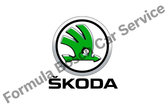 Maslak Skoda Servisi